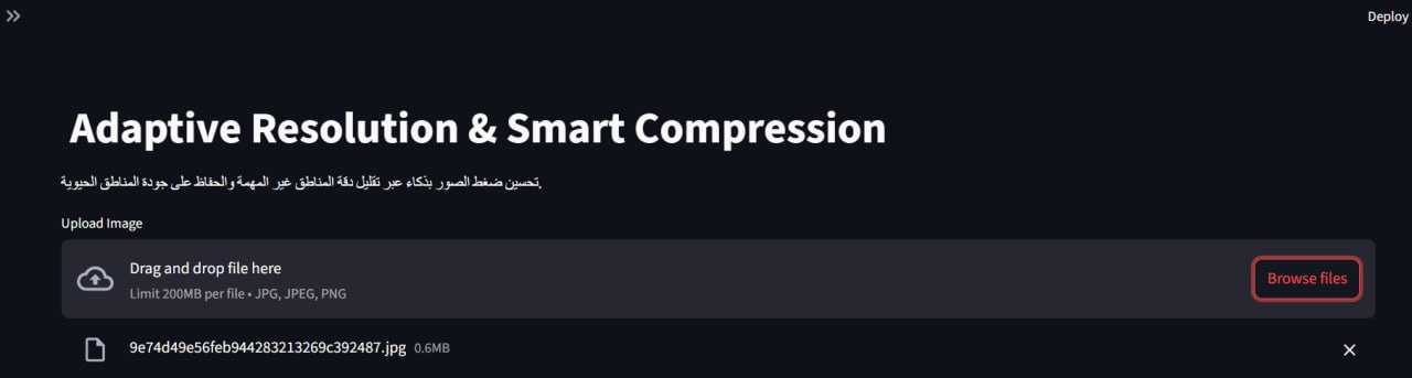 AI Image Compression Result 1