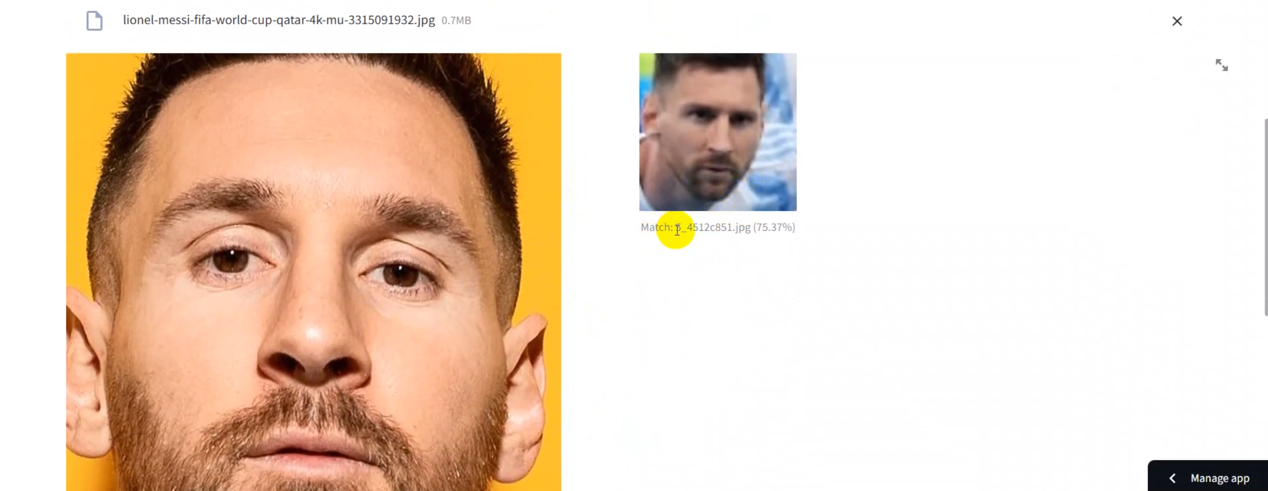 Y.O.D.A Face Recognition System Screen 6