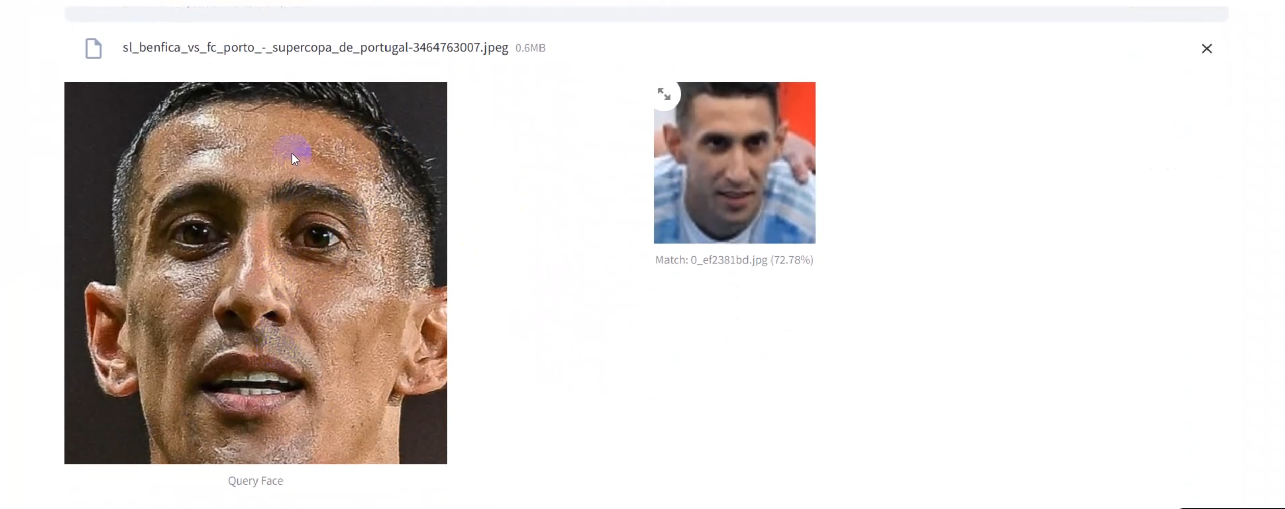 Y.O.D.A Face Recognition System Screen 7